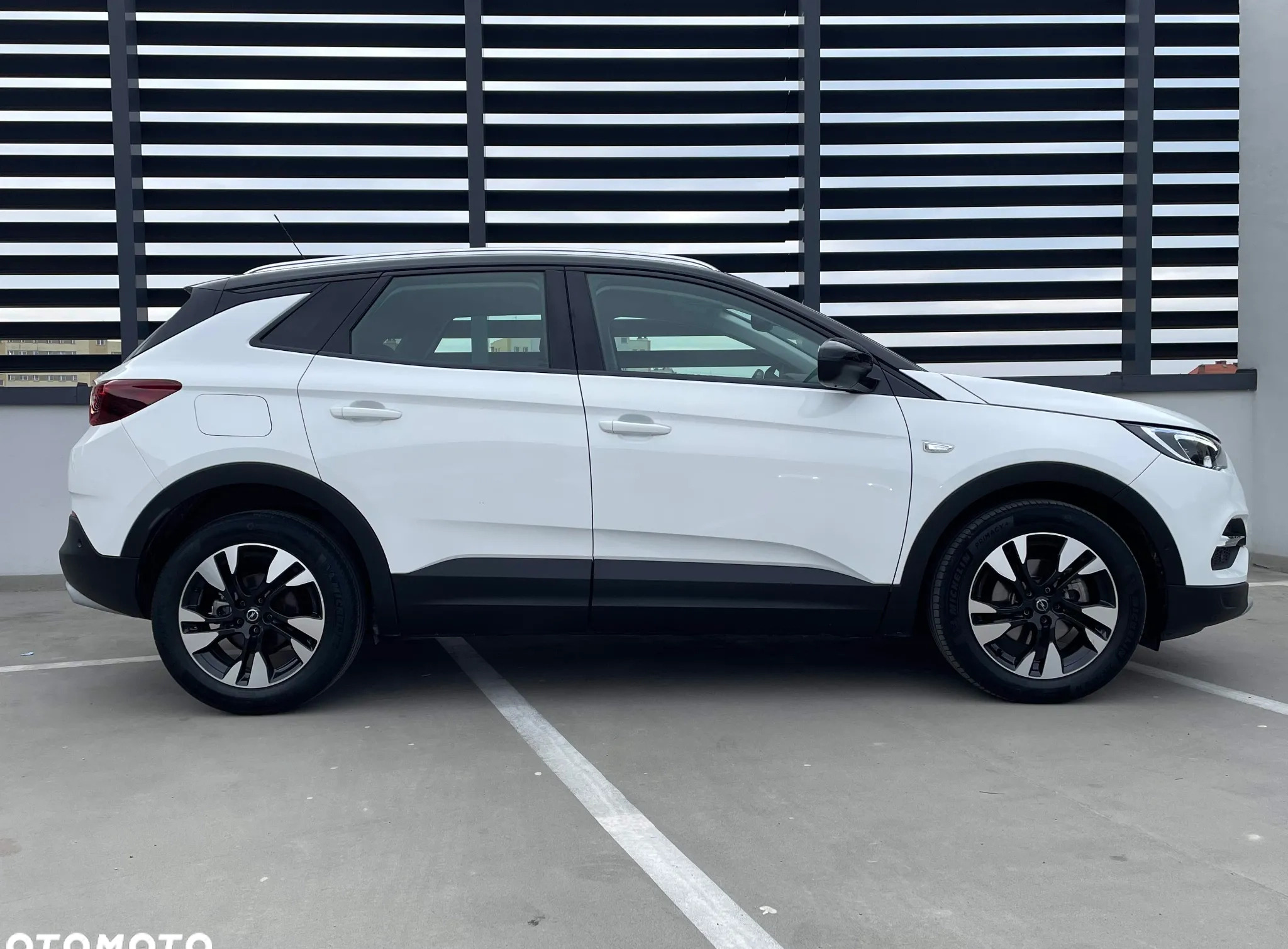 Opel Grandland X cena 89900 przebieg: 45200, rok produkcji 2021 z Rzeszów małe 704